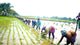 Preserving Biodiversity Through Traditional Farming
