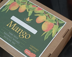 Kesar mangoes (Exclusive)